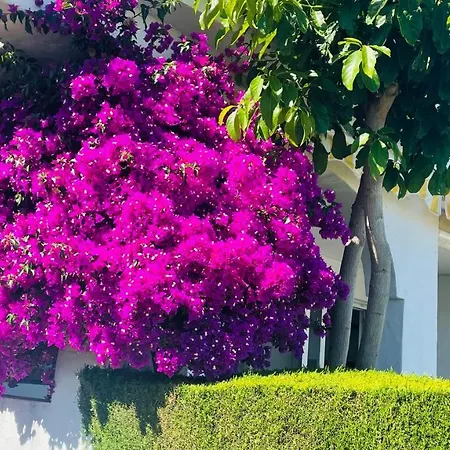 Modern Garden With A Fantastic Sea View And A Private Garden * Ситио-де-Калаонда